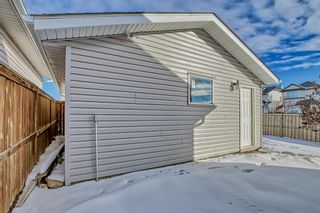 Photo 47: 6 Martinvalley Crescent NE in Calgary: Martindale Detached for sale : MLS®# A2012100