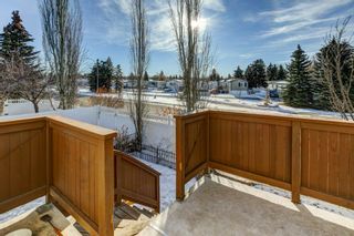 Photo 28: 131 Sunridge Crescent NW: Airdrie Detached for sale : MLS®# A2023787