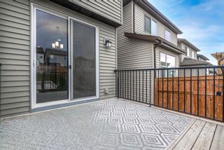Photo 39: 495 Nolan Hill Drive NW in Calgary: Nolan Hill Detached for sale : MLS®# A2004931