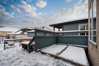 Photo 31: 35 Lake Forest Road in Winnipeg: Bridgwater Forest Residential for sale (1R)  : MLS®# 202328206