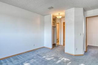 Photo 22: 799 Coventry Drive NE in Calgary: Coventry Hills Detached for sale : MLS®# A1083644