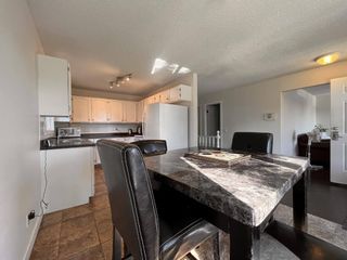 Photo 14: 11 BEARBERRY Crescent in Calgary: Beddington Heights Detached for sale : MLS®# A1252960