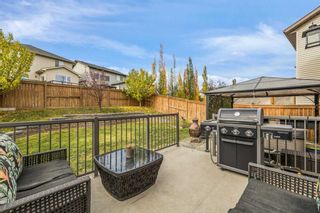 Photo 47: 669 Panatella Boulevard NW in Calgary: Panorama Hills Detached for sale : MLS®# A2084941