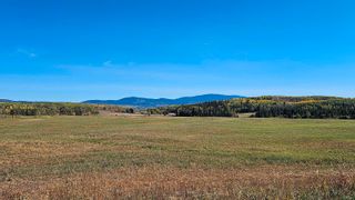 Photo 36: 23436 WOODMERE Road in Telkwa: Telkwa - Rural House for sale (Smithers And Area)  : MLS®# R2818702