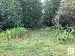Photo 11: 49 52245 RGE RD 232 Road: Rural Strathcona County Vacant Lot/Land for sale : MLS®# E4343615