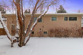 Photo 32: 7036 61 Avenue NW in Calgary: Silver Springs Detached for sale : MLS®# A1199043