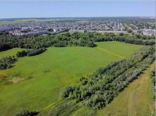 Photo 3: 136 Lot 136 Plan 3910 Avenue in Winnipeg: Royalwood Residential for sale (2J)  : MLS®# 202330300