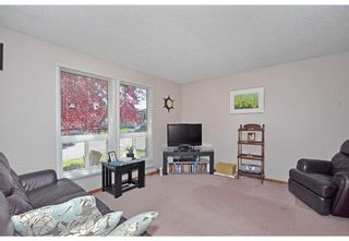 Photo 8: 119 Bedwood Bay NE in Calgary: Beddington Heights Detached for sale : MLS®# A2028643