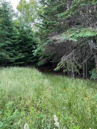 Photo 12: 23+ Acres Sonora Road in Sherbrooke: 303-Guysborough County Vacant Land for sale (Highland Region)  : MLS®# 202304811