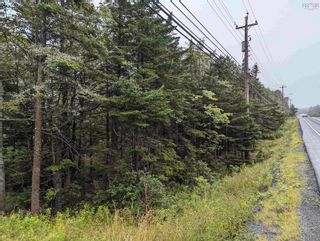 Photo 12: RB-1 Prospect Road in Hatchet Lake: 40-Timberlea, Prospect, St. Marg Vacant Land for sale (Halifax-Dartmouth)  : MLS®# 202402560