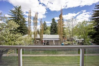 Photo 18: 202 4455C Greenview Drive NE in Calgary: Greenview Apartment for sale : MLS®# A1110677