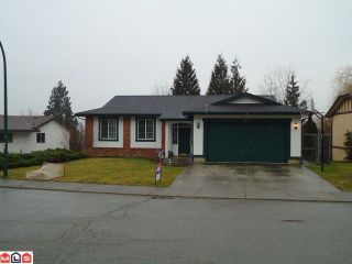 Photo 1: 2821 MCBRIDE Street in Abbotsford: Abbotsford East House for sale : MLS®# F1102923