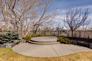 Photo 46: 2210 Hope Street SW in Calgary: Upper Mount Royal Detached for sale : MLS®# A2043966