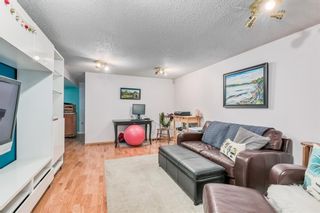 Photo 20: 48 Fawn Crescent SE in Calgary: Fairview Detached for sale : MLS®# A1189897