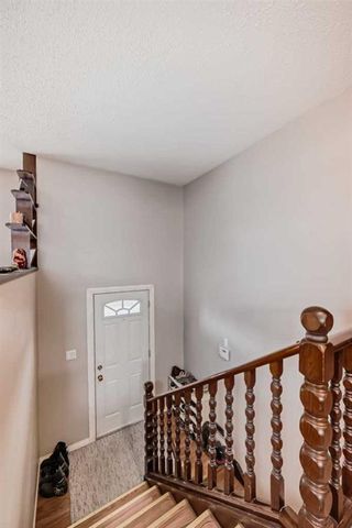 Photo 12: 3816 Dover Ridge Drive SE in Calgary: Dover Detached for sale : MLS®# A2124560