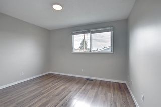 Photo 18: 19 DOVERVILLE Way SE in Calgary: Dover Semi Detached for sale : MLS®# A1122005