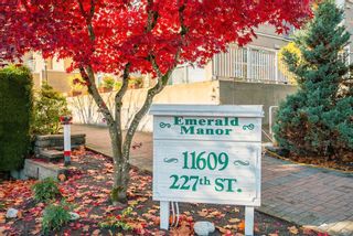 Photo 38: 101 11609 227 Street in Maple Ridge: East Central Condo for sale in "Emerald Manor" : MLS®# R2877856