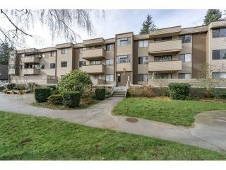 Photo 1: 32 2434 WILSON Avenue in Port Coquitlam: Central Pt Coquitlam Condo for sale in "ORCHARD VALLEY" : MLS®# R2246721