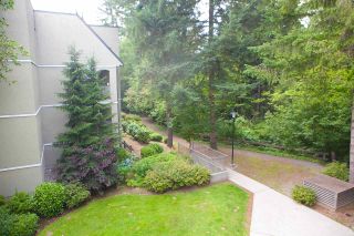 Photo 20: 302 1210 PACIFIC Street in Coquitlam: North Coquitlam Condo for sale in "Glenview Manor" : MLS®# R2286235