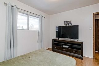 Photo 13: 947 Northmount Drive NW in Calgary: Collingwood Detached for sale : MLS®# A2094068