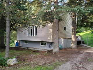 Photo 39: 19 Raven Ridge Road: Rural Clearwater County Detached for sale : MLS®# A1227442