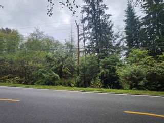 Photo 1: 26000 128 Avenue in Maple Ridge: Websters Corners Land for sale : MLS®# R2855556