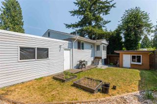 Photo 18: 2882 NORMAN AVENUE in Coquitlam: Ranch Park House for sale : MLS®# R2295567