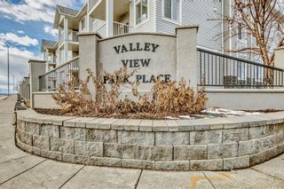 Photo 1: 208 1208 Valleyview Park SE in Calgary: Dover Apartment for sale : MLS®# A2021381