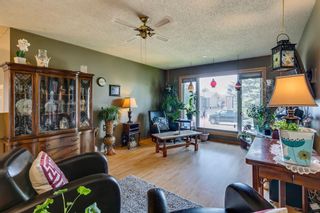 Photo 20: 48 Summerfield Road SE: Airdrie Detached for sale : MLS®# A2143471