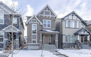 Main Photo: 297 Skyview Ranch Boulevard NE in Calgary: Skyview Ranch Detached for sale : MLS®# A2110051