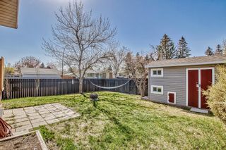 Photo 29: 655 Queen Charlotte Drive SE in Calgary: Queensland Detached for sale : MLS®# A2048810