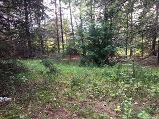 Photo 6: 86 Gilbert Street in Big River: Lot/Land for sale : MLS®# SK905747