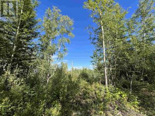 Photo 8: LOT 10 MURRAY ROAD in Quesnel: Vacant Land for sale : MLS®# R2804376