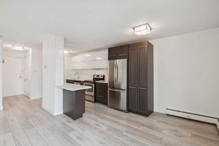 Photo 9: 703 1213 13 Avenue SW in Calgary: Beltline Apartment for sale : MLS®# A2099142