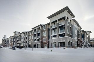 Photo 31: 316 25 Auburn Meadows Avenue SE in Calgary: Auburn Bay Apartment for sale : MLS®# A2028061
