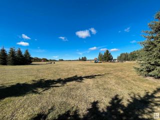 Photo 7: 1529 HWY 622: Rural Leduc County House for sale : MLS®# E4313925