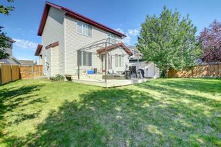 Photo 44: 32 Evansbrooke Rise NW in Calgary: Evanston Detached for sale : MLS®# A1244554