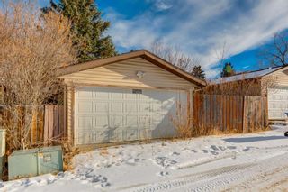 Photo 25: 1459 Berkley Drive NW in Calgary: Beddington Heights Detached for sale : MLS®# A2103559