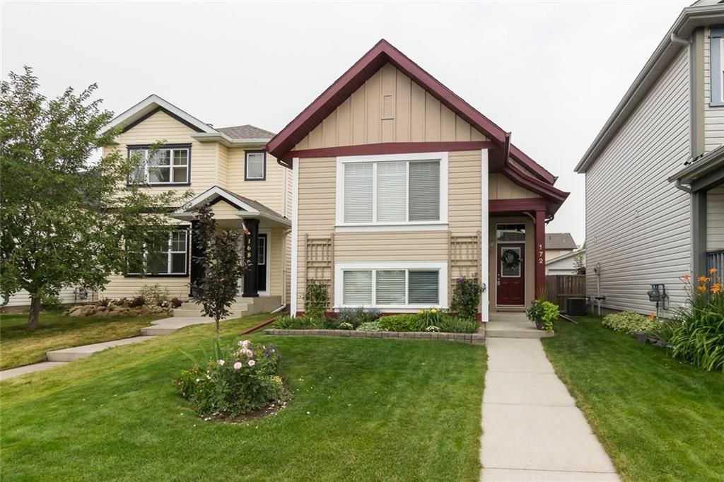 Main Photo: 172 COPPERFIELD Rise SE in Calgary: Copperfield Detached for sale : MLS®# C4201134