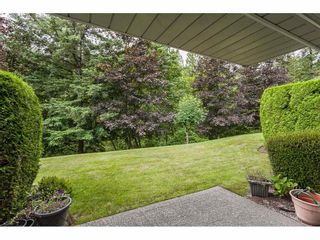 Photo 37: 19 3351 HORN Street in Abbotsford: Central Abbotsford Townhouse for sale in "Evansbrook" : MLS®# R2472195