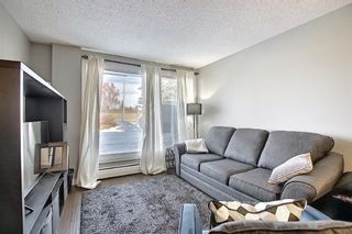 Photo 14: 105 4127 Bow Trail SW in Calgary: Rosscarrock Apartment for sale : MLS®# A1080853