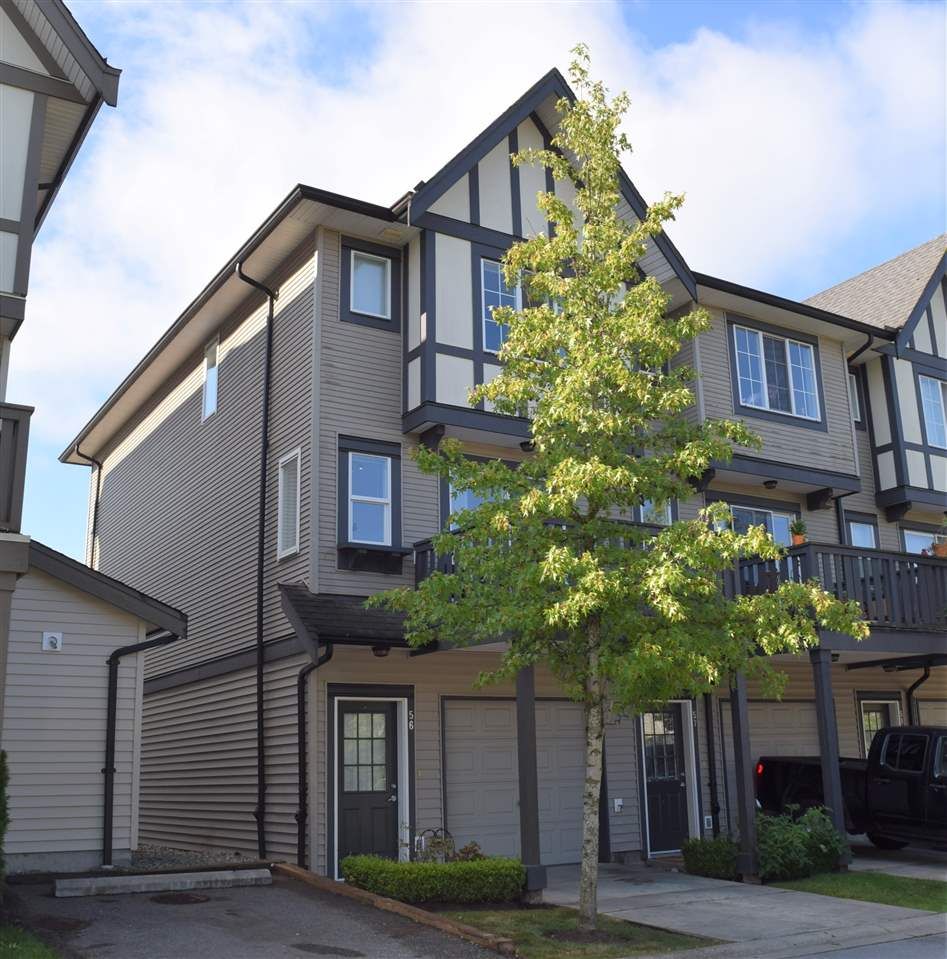 Main Photo: 56 20875 80 AVENUE in : Willoughby Heights Townhouse for sale : MLS®# R2300882