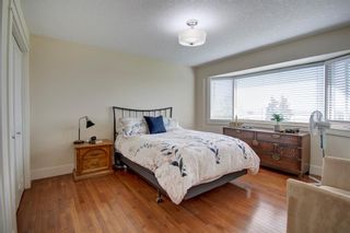 Photo 29: 42 Buffalo Rub Place: Airdrie Detached for sale : MLS®# A2048021