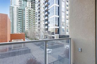 Photo 25: 308 211 13 Avenue SE in Calgary: Beltline Apartment for sale : MLS®# A2021781