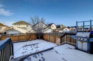 Photo 12: 25 Martha's Meadow Place NE in Calgary: Martindale Detached for sale : MLS®# A1259180