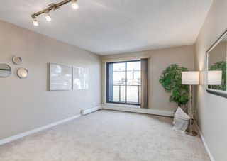 Photo 10: 202 1810 11 Avenue SW in Calgary: Sunalta Apartment for sale : MLS®# A1191853
