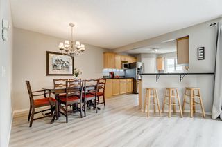 Photo 6: 9 Royal Elm Mews NW in Calgary: Royal Oak Detached for sale : MLS®# A2050149