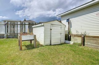 Photo 35: 40 Covington Mews NE in Calgary: Coventry Hills Detached for sale : MLS®# A1245782