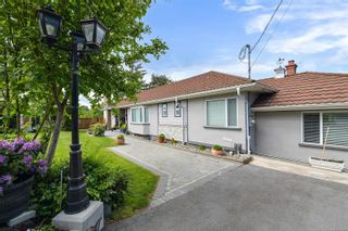 Photo 30: 10 Phillion Pl in Esquimalt: Es Kinsmen Park Single Family Residence for sale : MLS®# 965695