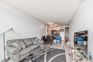 Photo 17: 1213 8710 Horton Road SW in Calgary: Haysboro Apartment for sale : MLS®# A2113897